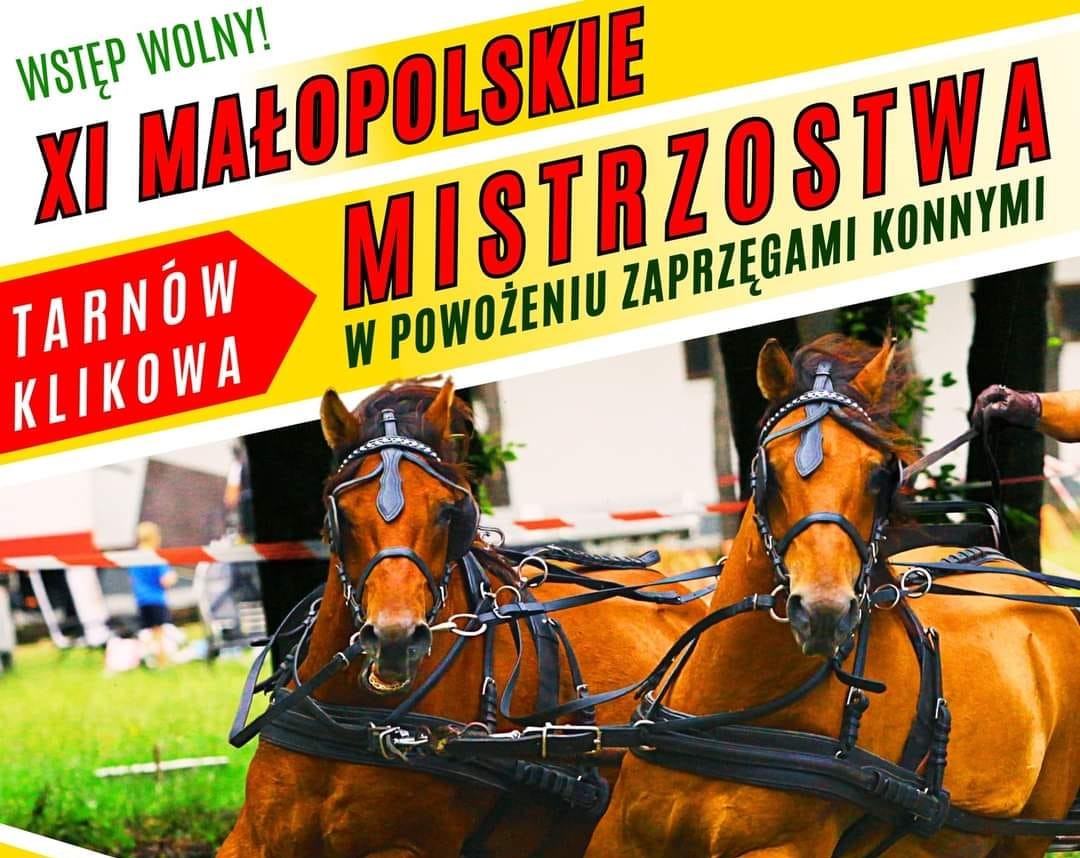 XI Małopolskie Mistrzostwa w Powożeniu Zaprzęgami Konnymi / 20-21 lipca 2024 r.